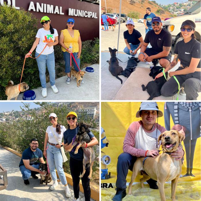 Paws for a Cause